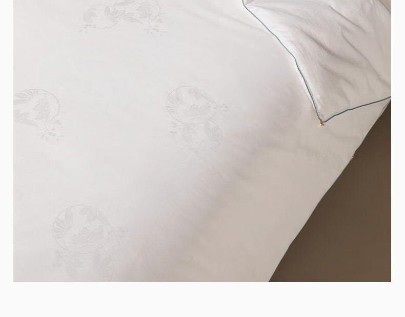 Silk Empress [Lanyu] 100% Premium Mulberry Silk Quilt Core Four Seasons Double-Layer Silk 2+4 Jin 220*240cm [White] 25