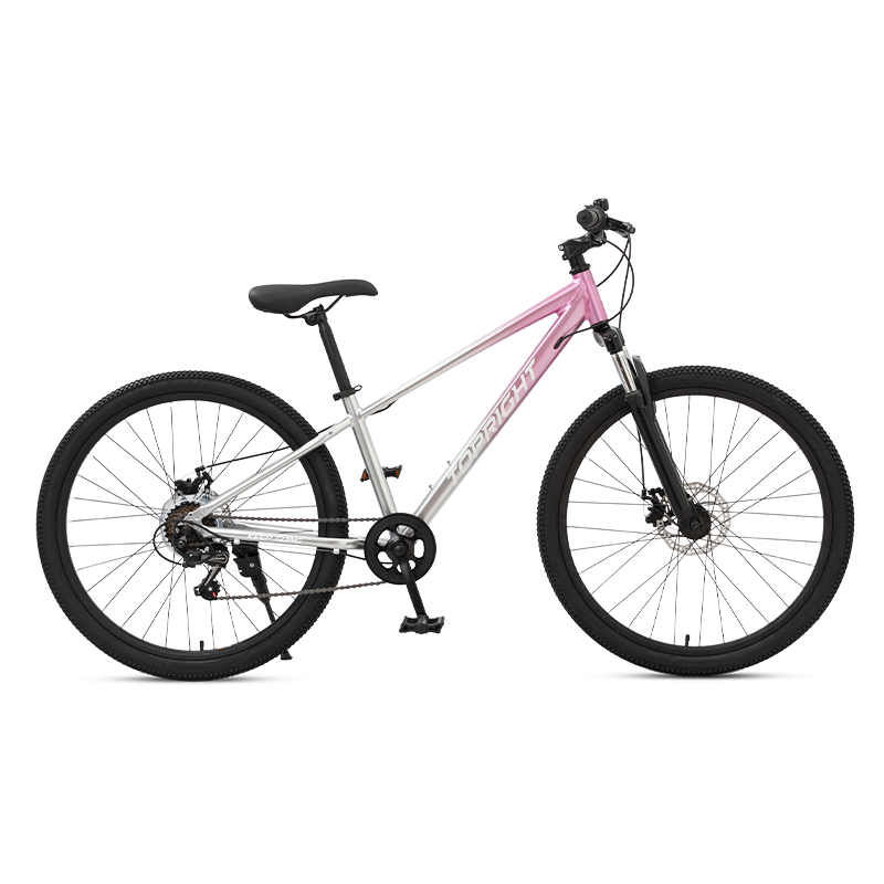 Turreda Youth Girls Aluminum Alloy Off-Road Bicycle 24-Inch 24-Speed Commuter Bike for Middle and Primary School Students