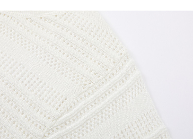 Demana [With Mulberry Silk and Wool] Spring Elegant Hollow Stripe Batwing Sleeve Elastic Slim Knit Sweater for Women Premium 16