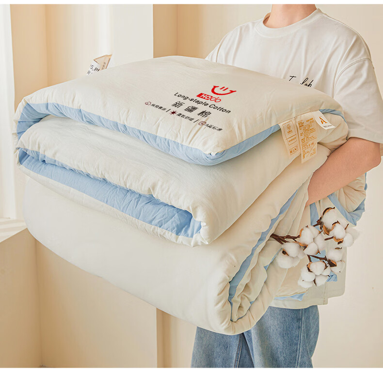 Hongdou Class A Xinjiang Cotton Quilt Summer Cooling Quilt Core Air Conditioning Quilt Spring and Autumn Quilt Student Four Seasons Quilt 200*230cm 4 Jin 4