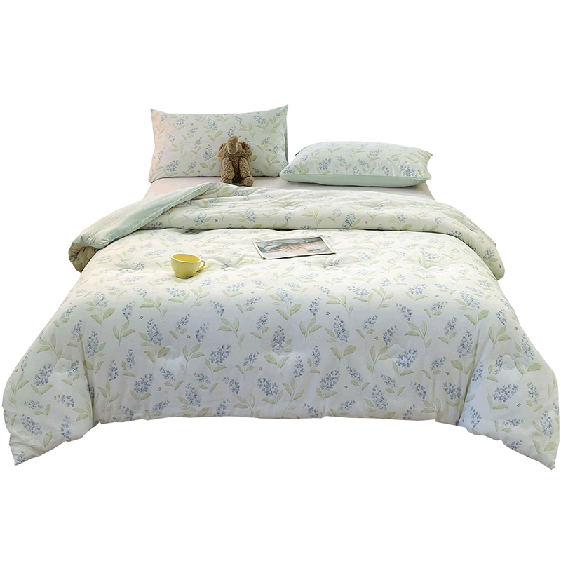 Hongdou Class A Antibacterial Xinjiang Cotton Quilt Core Single Spring and Autumn Quilt Core Air Conditioning Quilt Core 2*2.3m 4 Jin Leaf