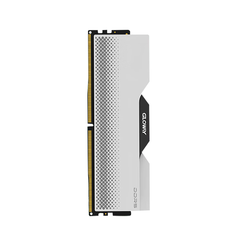Gloway 16GB DDR5 6000 Desktop RAM Longwu Heat Spreader Hynix A-die CL30 Deep Space Silver