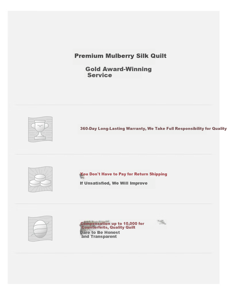 SILKUEEN "Golden Harmony" 100% Premium Mulberry Silk Gold Thread Wedding Quilt Set 2+4 Jin 220*240cm 18