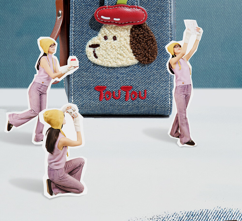 Toutou 2026 New Style Wallet Pork Floss Dog Denim Card Holder ID Storage Coin Purse Girl Birthday Gift for Girlfriend 4
