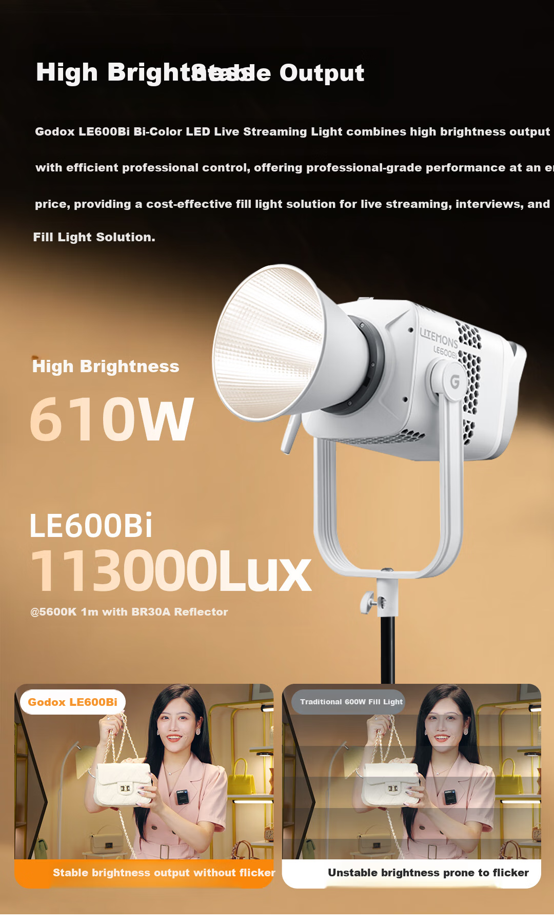 Godox LE600Bi Professional Live Streaming LED Fill Light Bi-Color Photography Video Continuous Light White Version 2