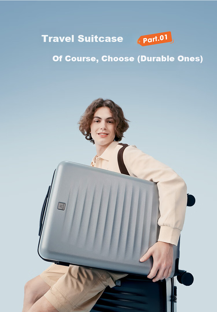 DICON AIBI 20-inch Carry-on Luggage Lightweight Spinner Trolley Travel Suitcase with TSA Lock 4