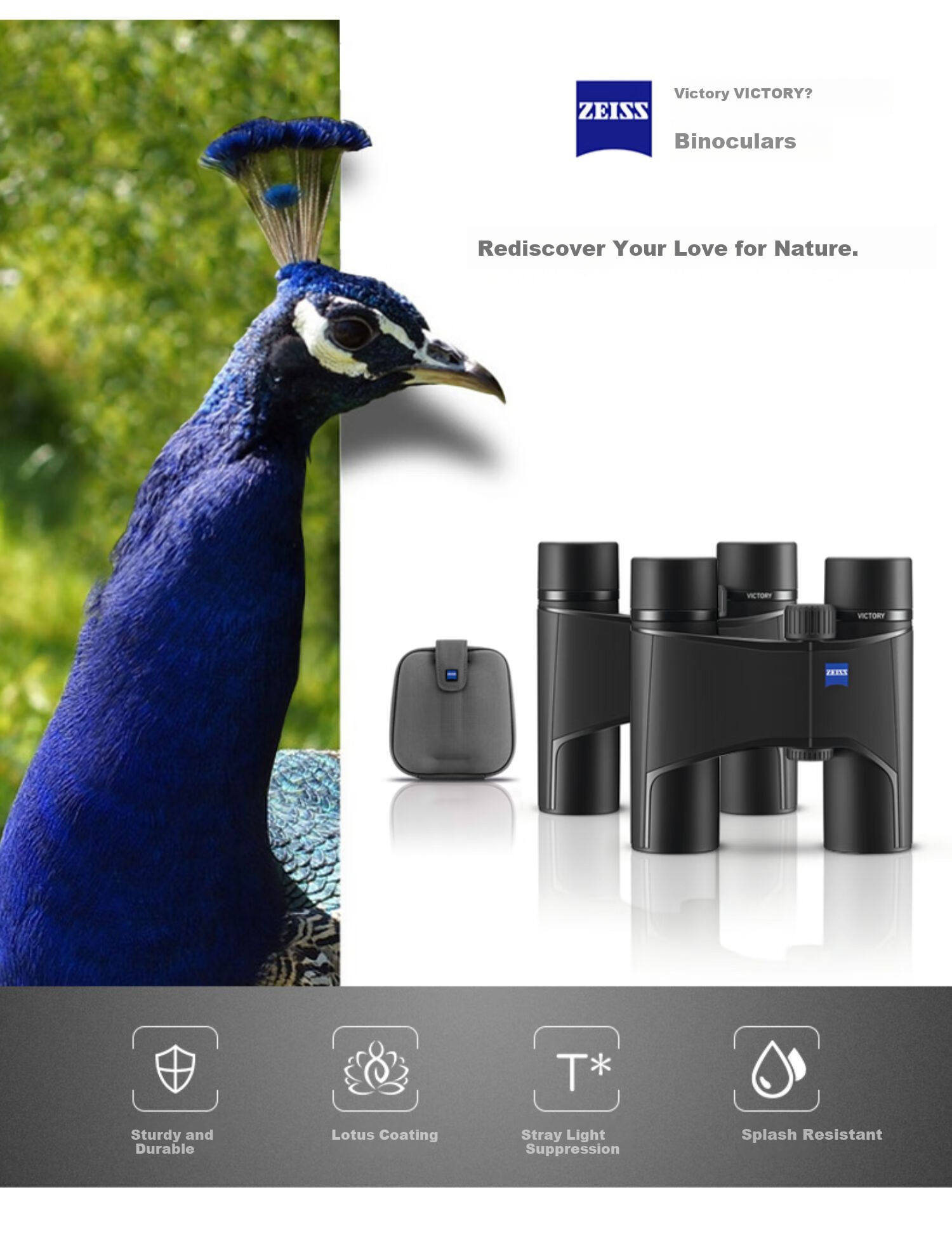 ZEISS 10x25 Portable HD Coated Binoculars for Live Streaming, Smartphone Compatible, Concert, Astronomy, Outdoor Use 2