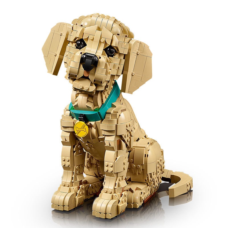 LEGO Building Blocks 11384 Golden Retriever Puppy Toy for Boys and Girls Birthday Gift Decorative Ornament for Girlfriend