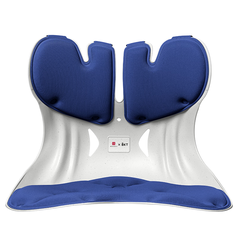 BKT Lumbar Support Cushion Ergonomic Waist Pillow Long Sitting Office Seat Cushion Car Seat Pad Gift for Parents