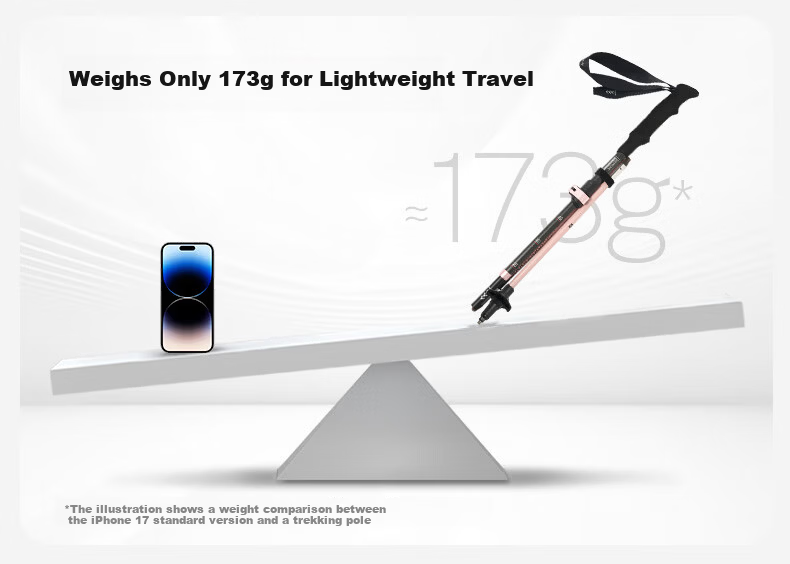 MOBIGARDEN Trekking Pole Outdoor Hiking Carbon Fiber Telescopic Walking Stick NX25667014 Titanium Color 4