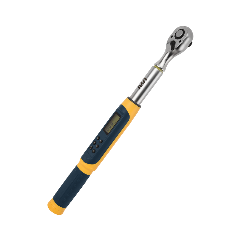 LIYU Digital Torque Wrench, 1/2 Inch High-Precision Electronic Torque Meter, Adjustable Torque Tool for Auto Repair, 3.0-100N.m