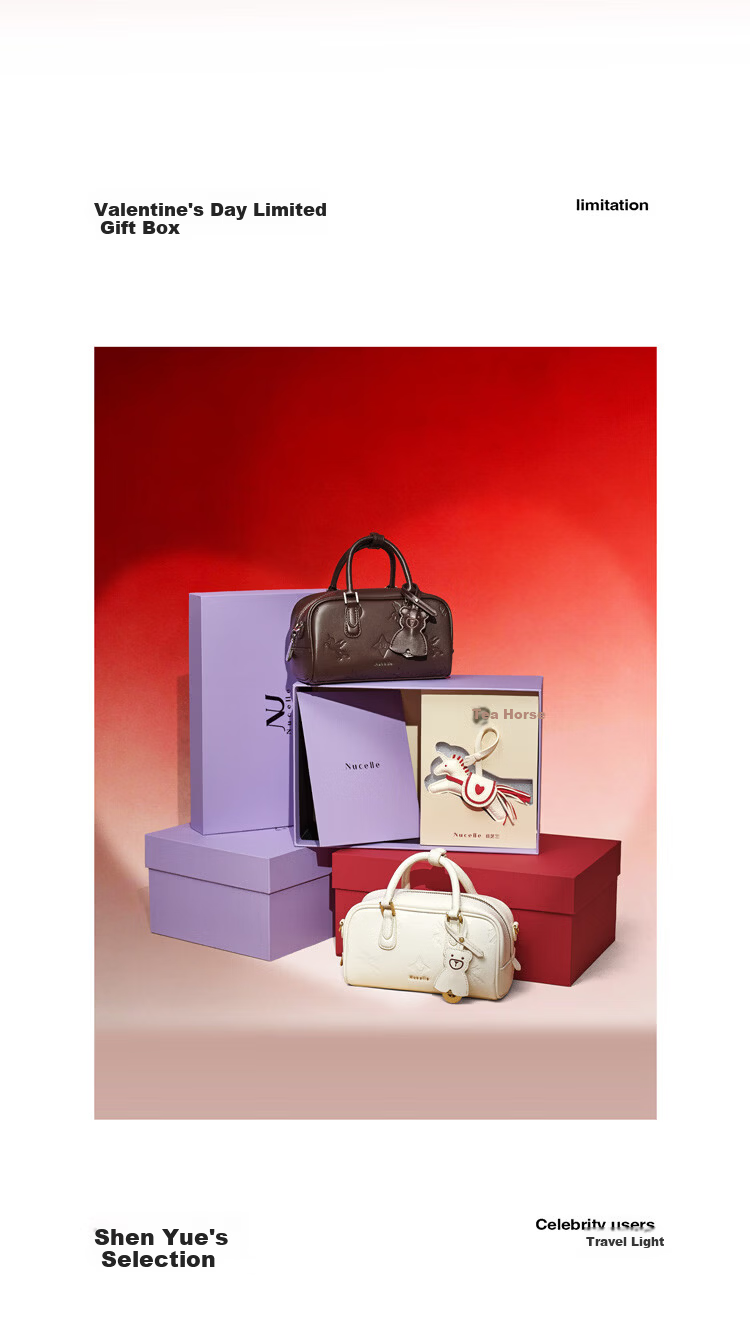 NUCELLE Pegasus Square Elegant Crossbody Boston Bag 2026 Luxury Niche Women's Handbag Birthday Gift for Her 3