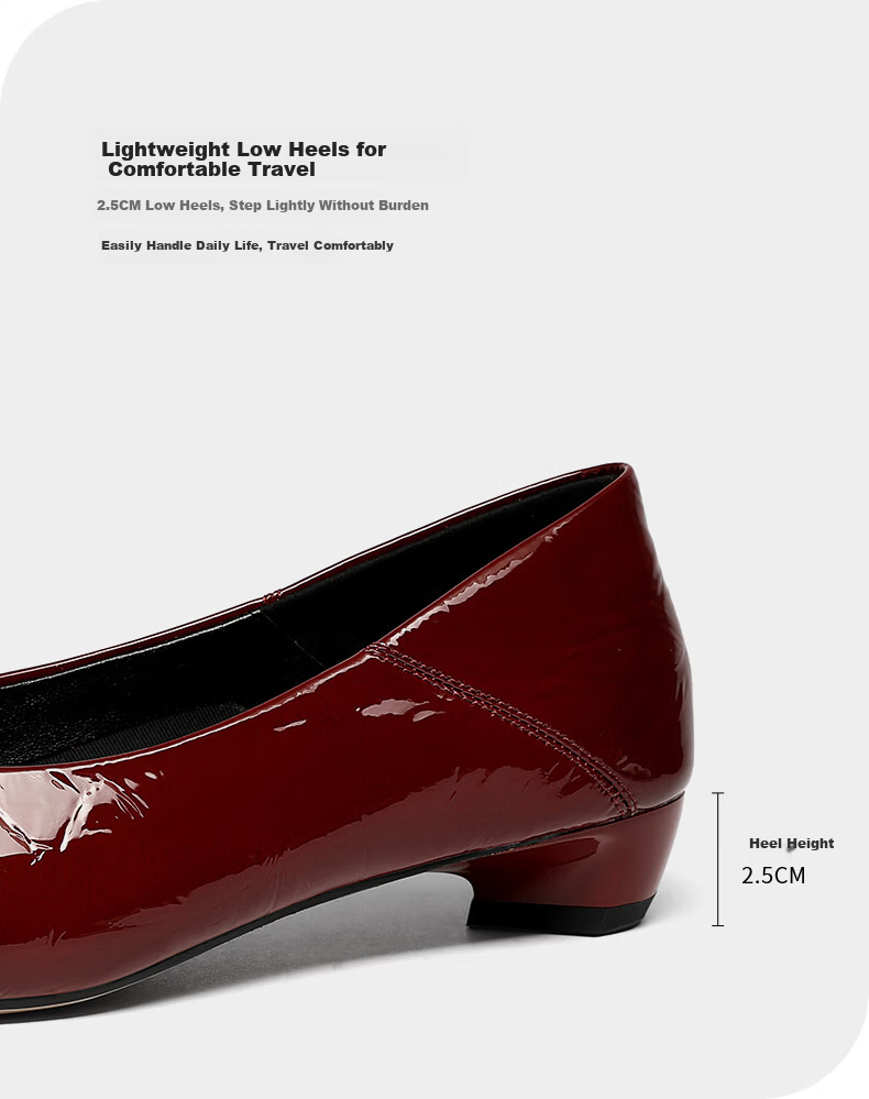 Goldlion Women's Professional Commuter Low Heel Square Toe Two-Wear Chunky Heel Low-Cut Shoes G686530265 Wine Red Size 40 7