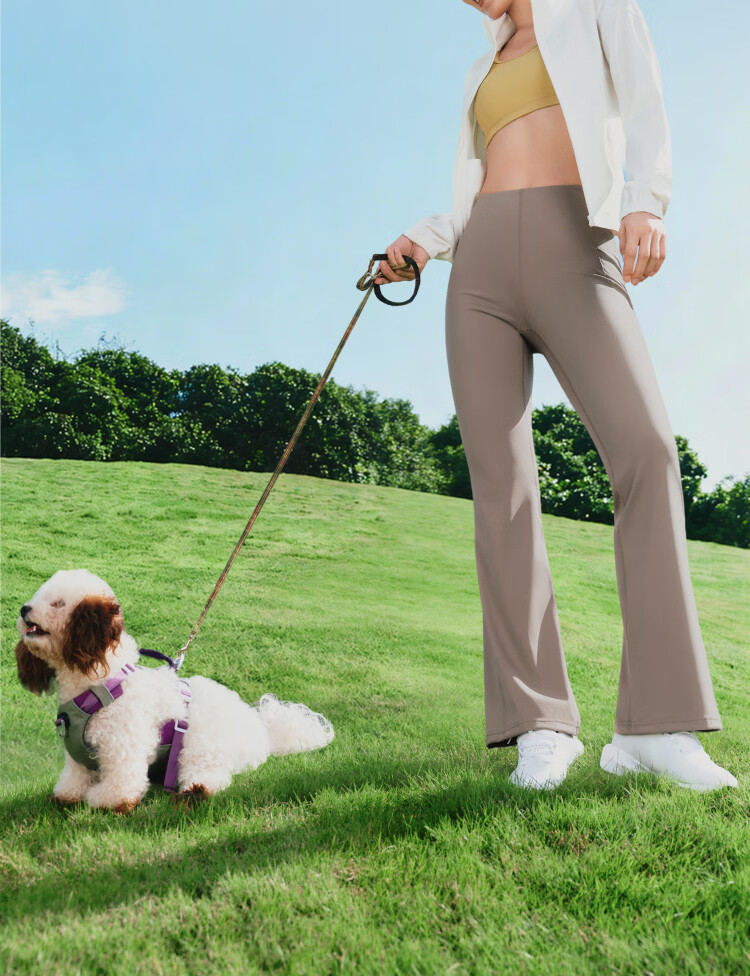 Beneunder High Elasticity Flared Casual Pants for Women Slim Breathable Flared Trousers Elastic Shaping Versatile EL110 7