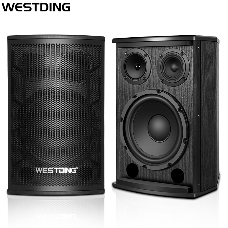 WESTDING Home KTV Sound System Complete Set, Karaoke Theater for Living Room And Store Commercial Use Professional Conference Package, 10-Inch Three-Way Speakers 106+393+K82