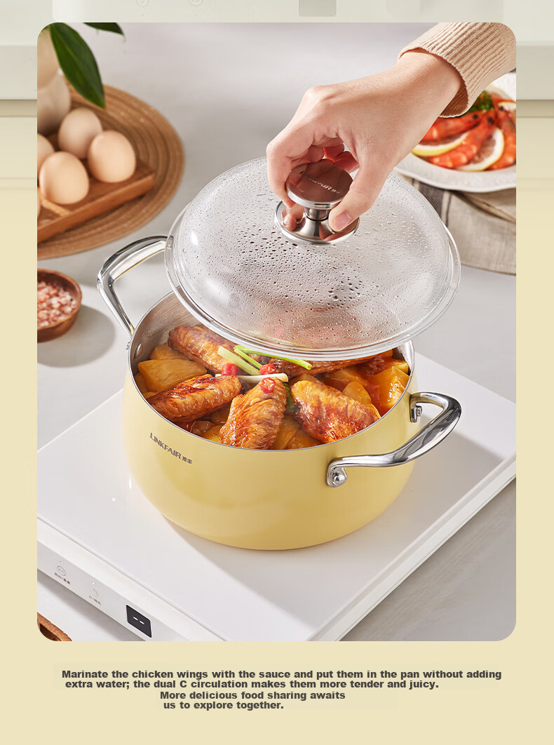 LINKFAIR 316L Stainless Steel Soup Pot Small Stew Pot Household Noodle Pot Compatible with Induction Cooker and Gas Stove 8