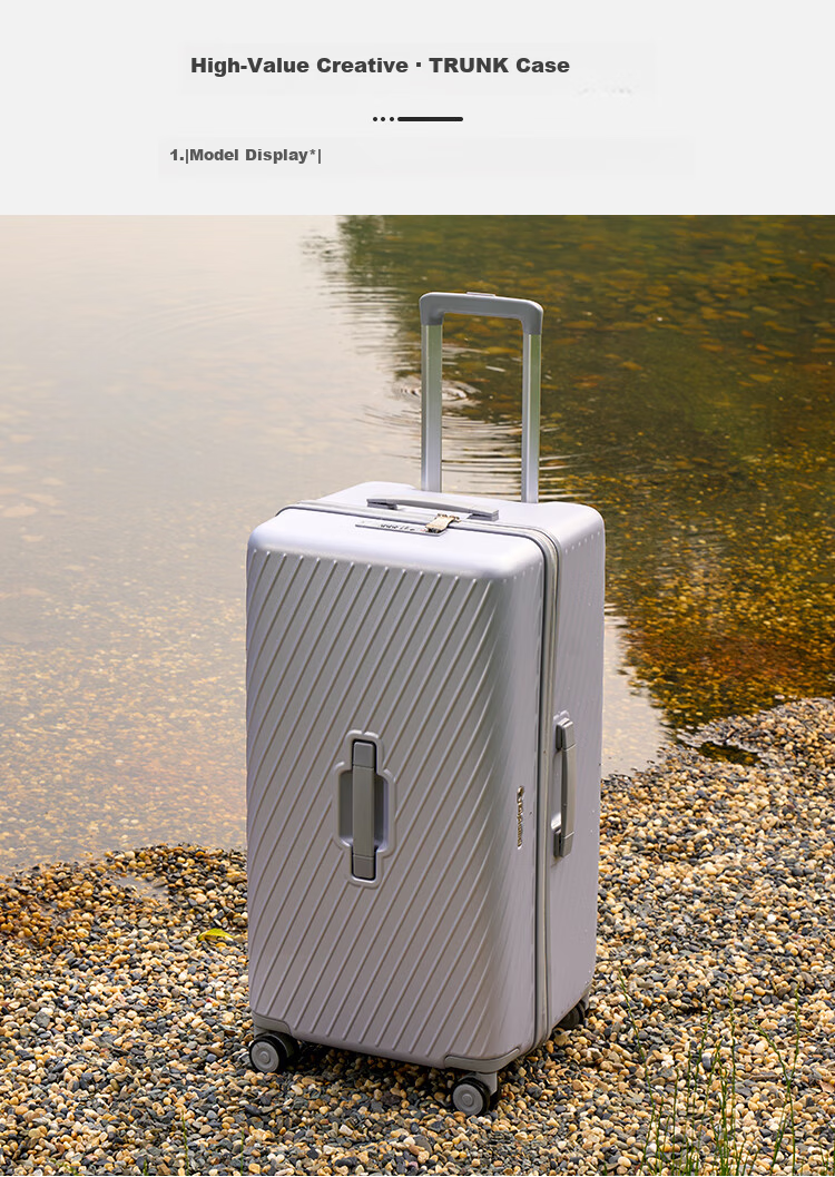 Diplomat Large Capacity Trolley Luggage Travel Suitcase Password Lock TC-2619 Moonlight Silver 26 Inch 3