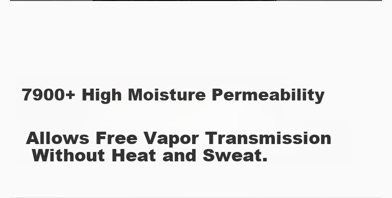 Penguin Camel Collaboration Yulin Windbreaker 26 New Women's Single-Layer Lightweight Functional Outdoor Mountaineering Jacket M26BA6B001 9
