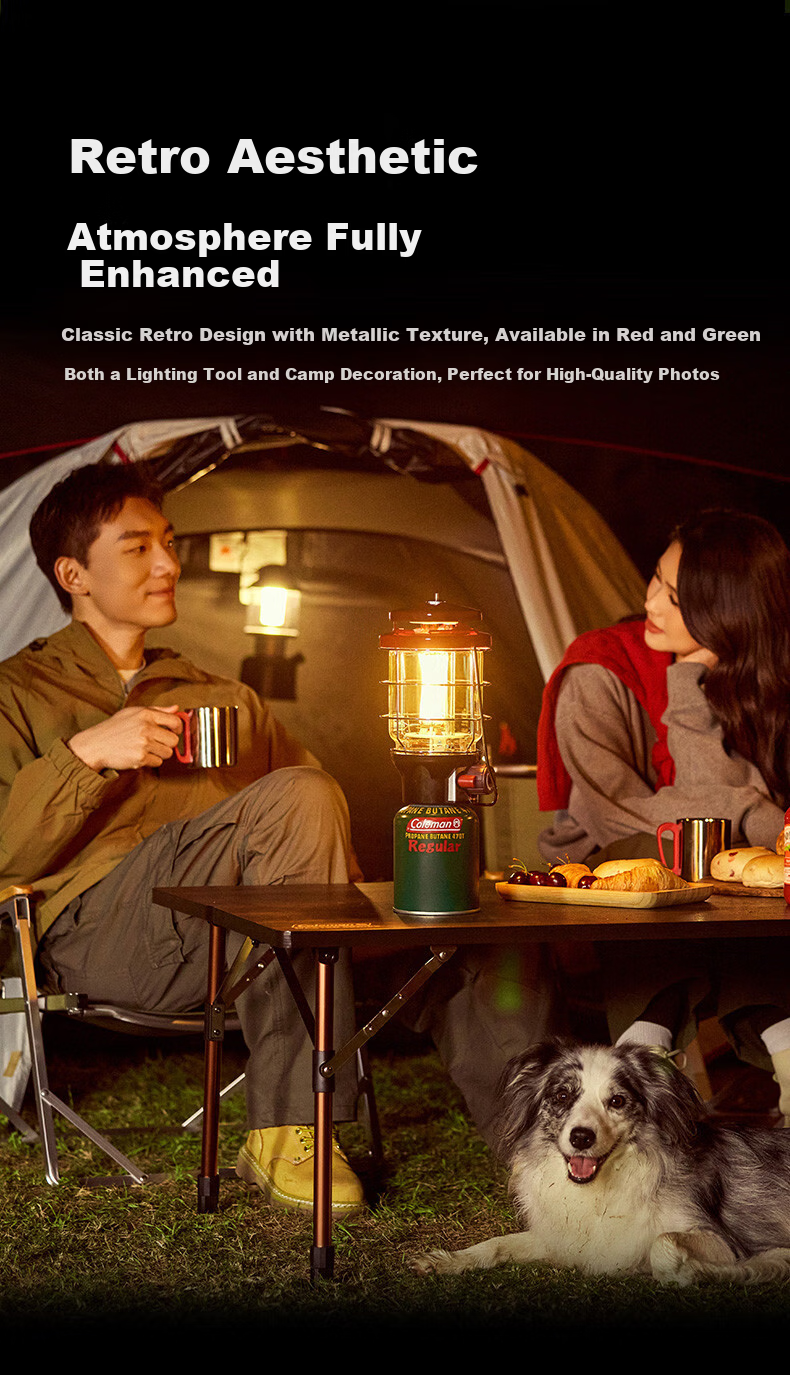 Coleman Rechargeable LED Camping Lantern Waterproof Portable Outdoor Light 800 Lumens Long Battery Life 12