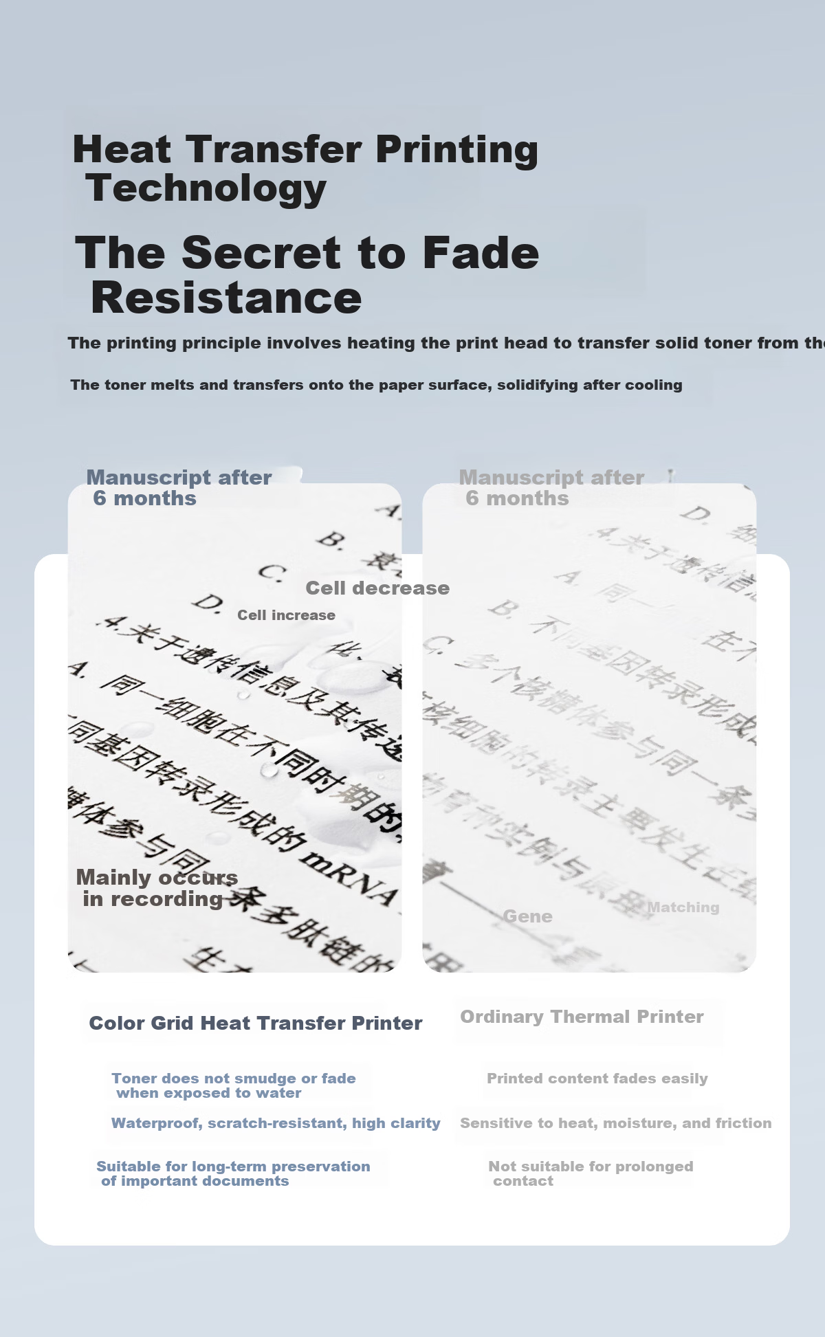 Color Grid TR800 Portable Printer Ribbon 2 Rolls, Approximately 140 Pages, Office Business Home Small Thermal Transfer Consumables, Long-lasting Fade-resistant Eco-friendly Ribbon 5