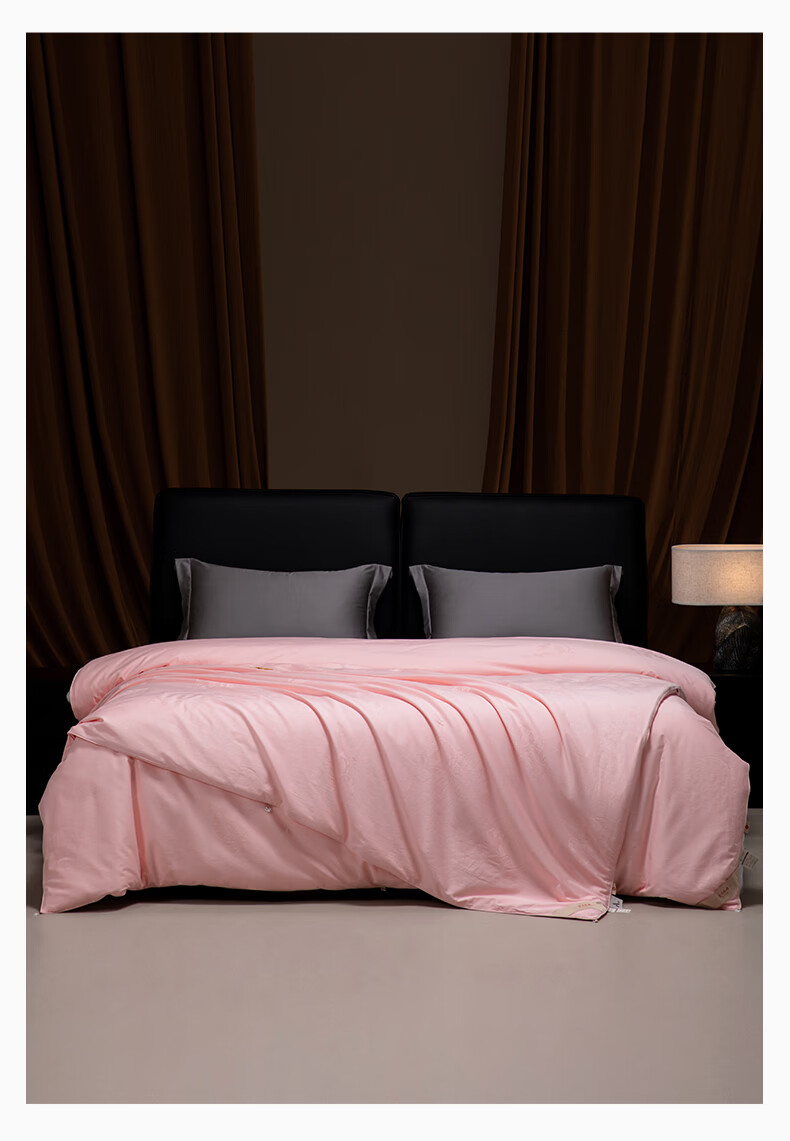 Silk Empress [Lanyu] 100% Premium Mulberry Silk Quilt Core Four Seasons Double-Layer Silk 2+4 Jin 220*240cm [White] 31