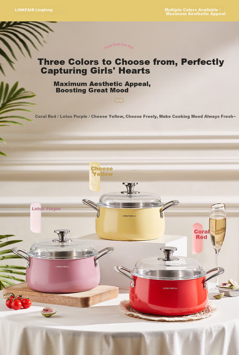 LINKFAIR 316L Stainless Steel Soup Pot Small Stew Pot Household Noodle Pot Compatible with Induction Cooker and Gas Stove 10
