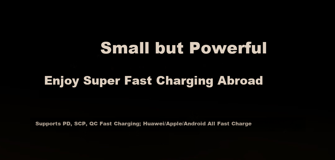 BOSCH Universal Travel Adapter for Multiple Countries/New Zealand Australia Hong Kong UK US Plug Converter (45W) 5