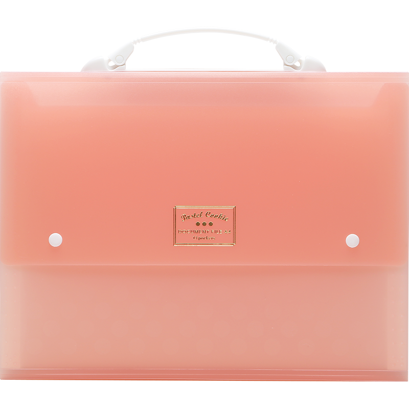 KOKUYO A4 Handheld Accordion File Folder with 12 Layers And 13 Pockets in Pastel Cookie Colors, Pink, 1 Piece, WSG-DFC130P3C, Digital Full Mesh Low Price