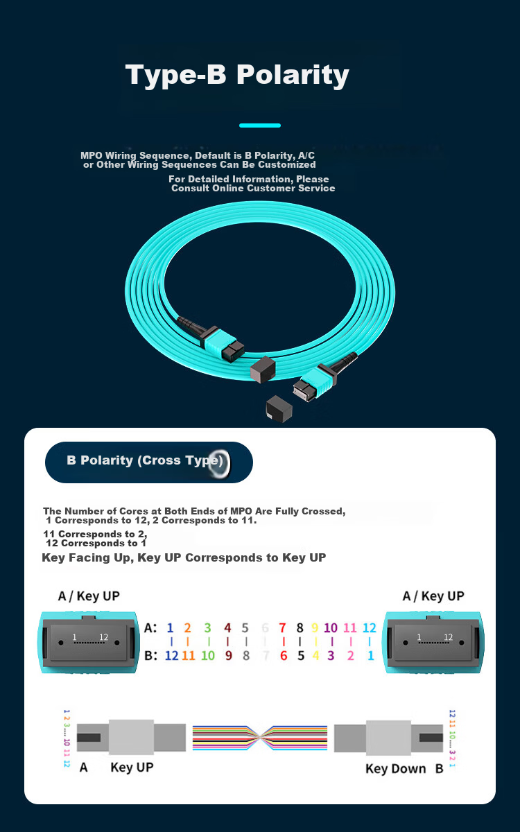 Bosende MPO-MPO Fiber Optic Patch Cord Female B Polarity Compatible MTP Telecom Grade 12-Core 40G/100G/200G OM4 Multimode Fiber Cable 3m BSD-M4-1203 4