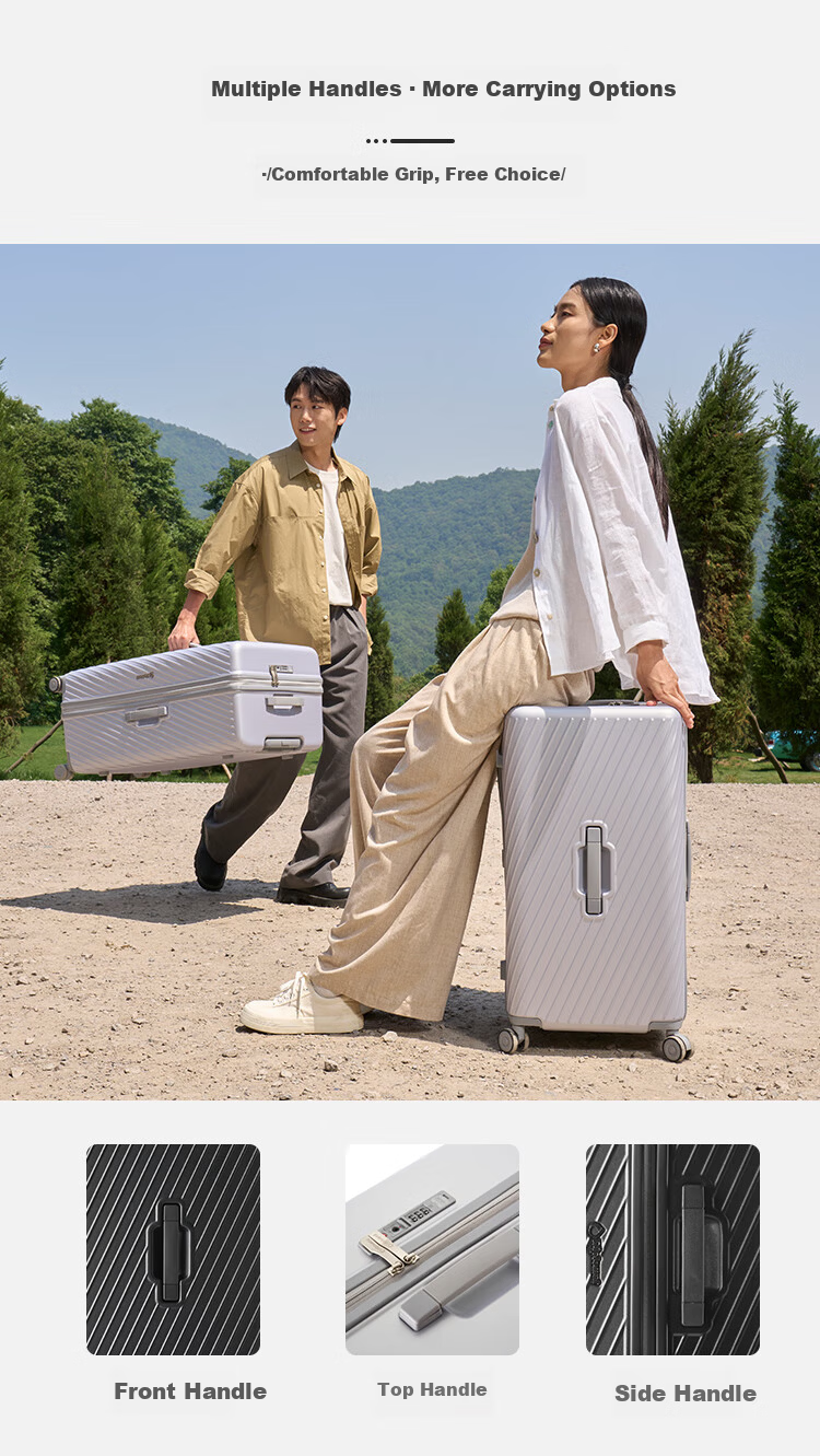 Diplomat Large Capacity Trolley Luggage Travel Suitcase Password Lock TC-2619 Moonlight Silver 26 Inch 10