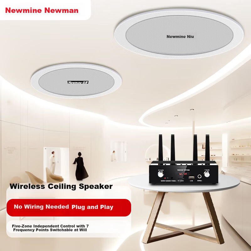 Newmine D7 Wireless FM Ceiling Speaker Set Home Shop Office Ceiling Broadcast Active Wireless Speaker (One to Two)