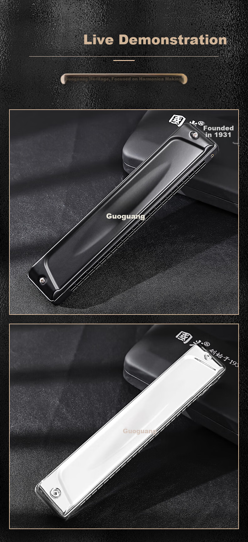 Guoguang 24-Hole Polyphonic C Key Professional Zodiac Harmonica - Ox (Imported Reeds, Includes Playing Instructions) Athens Black 9