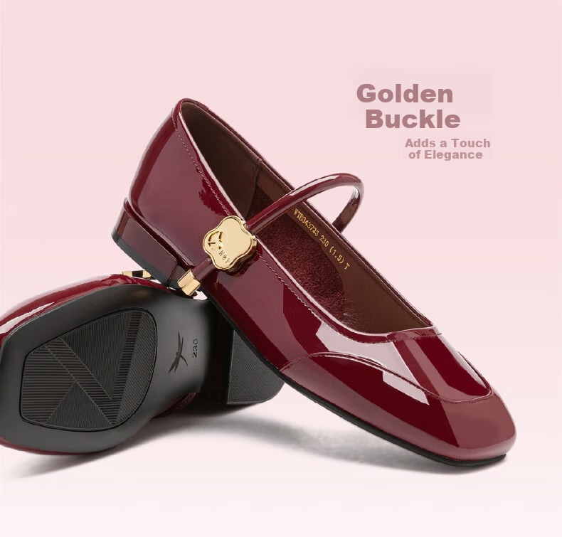 Red Dragonfly Mary Jane Shoes Women Summer French Style Chunky Heel Pumps WTB15382 Red (Mid Heel) Size 39 6
