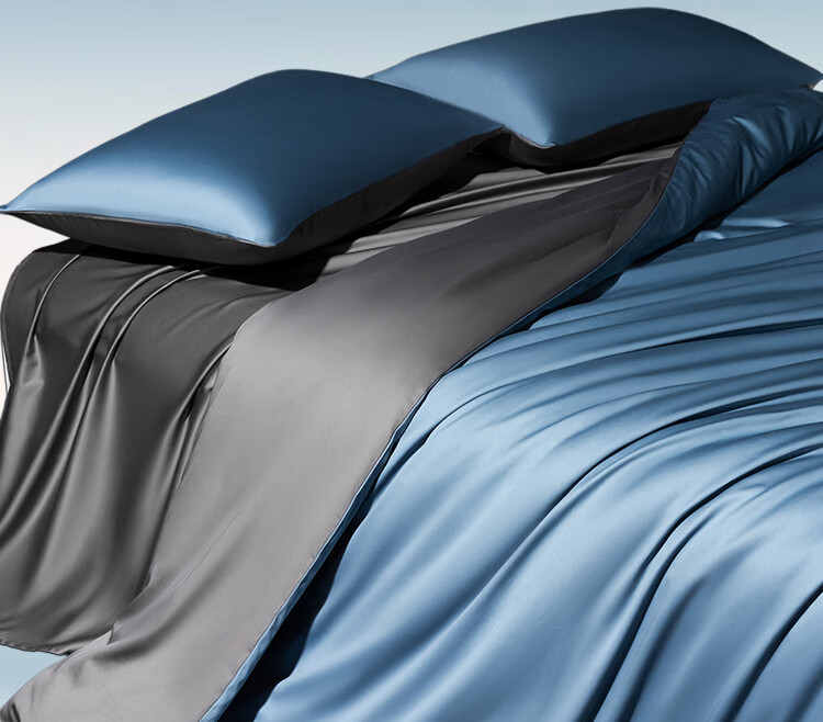 SOMERELLE A-Class 100% Xinjiang Long-Staple Cotton Pure Cotton Duvet Cover Single Piece 200*230cm 4