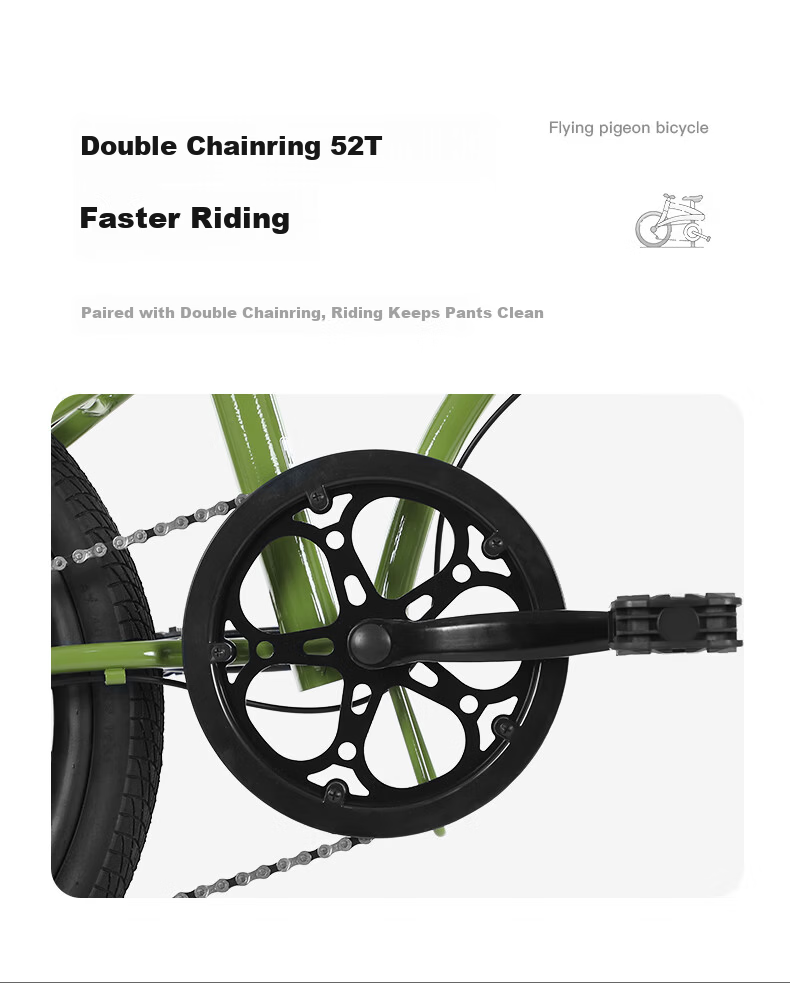 Flying Pigeon Folding Bicycle 20 Inch Unisex Adult Student Youth Casual Commuter City Bike Green 10
