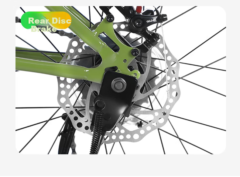 Flying Pigeon Folding Bicycle 20 Inch Unisex Adult Student Youth Casual Commuter City Bike Green 8