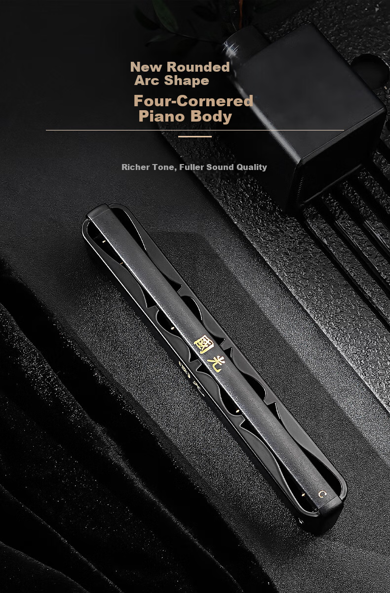Guoguang 24-Hole Polyphonic C Key Professional Zodiac Harmonica - Ox (Imported Reeds, Includes Playing Instructions) Athens Black 7