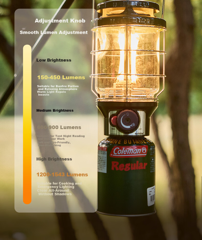 Coleman Rechargeable LED Camping Lantern Waterproof Portable Outdoor Light 800 Lumens Long Battery Life 5