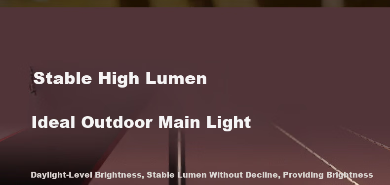 Coleman Rechargeable LED Camping Lantern Waterproof Portable Outdoor Light 800 Lumens Long Battery Life 6