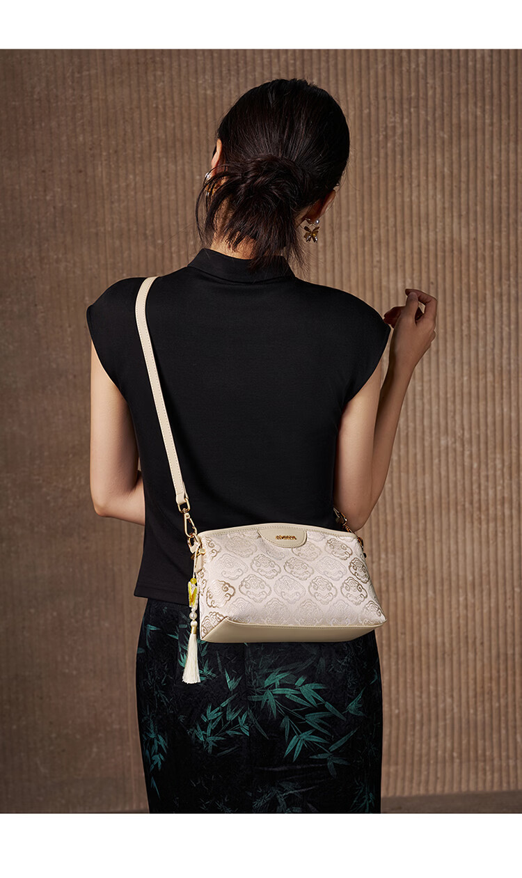 Aokang Women's Bag Trendy National Style Embroidered Small Square Bag Light Luxury Crossbody Shoulder Bag Birthday Gift for Mom and Wife 14