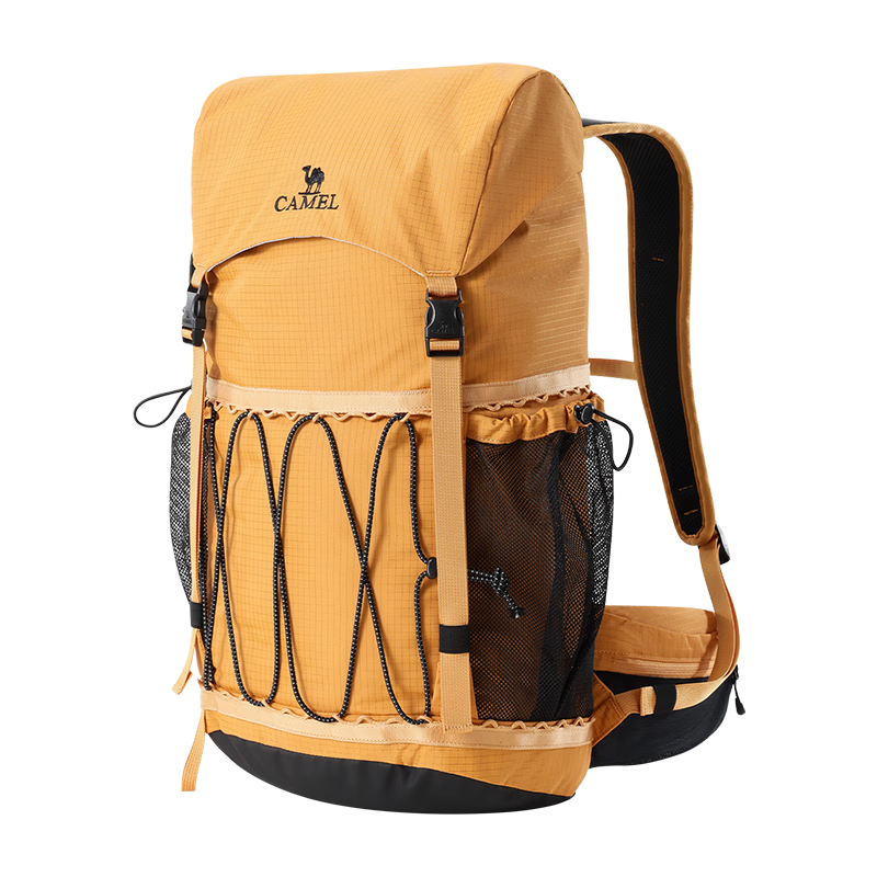 CAMEL Outdoor Professional Mountaineering Backpack Large Capacity Travel Hiking Backpack Unisex Double Shoulder Bag 576BB37026