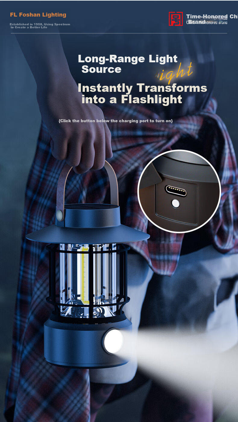 FSL Foshan Lighting Solar Outdoor Camping Garden Rural LED Lamp JD Self-operated Long Battery Life 15
