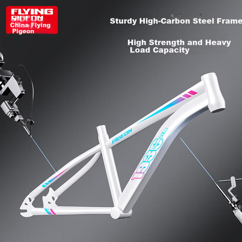 Flying Pigeon Youth Bicycle 22-inch Purple Mountain Bike for Boys and Girls Ages 6-18 with Gear Shifting