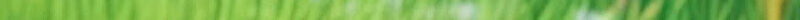 M&G Ultra-Light Spine Protection Primary School Backpack Large Capacity Lightweight Dual Shoulder Travel Bag for Grades 3-6 Retro Green 19