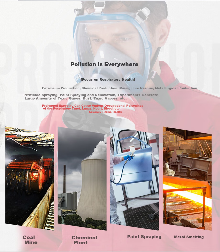 HAI GU HG-800D Silicone Gas Mask Full Facepiece Acidic Organic Benzene Paint Printing Toxic Gas Protection Mask Body 2