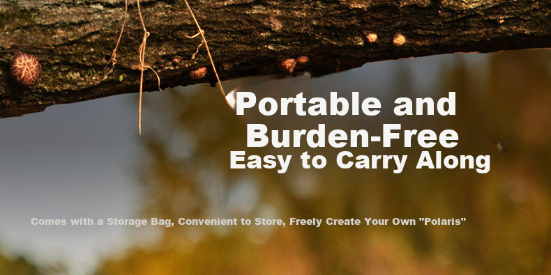 Coleman Rechargeable LED Camping Lantern Waterproof Portable Outdoor Light 800 Lumens Long Battery Life 10