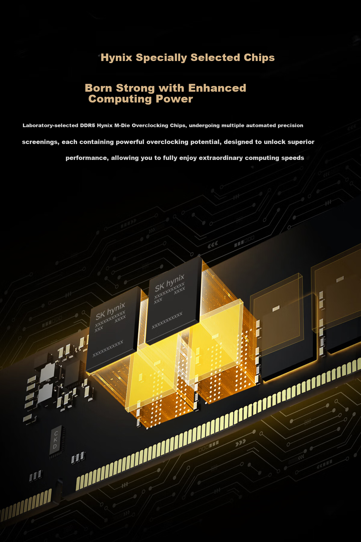 BIWIN 32GB (16GB×2) DDR5 8000MHz Desktop Memory Kit Timewalker DW100 RGB RAM Black AI PC Computer Storage Accessories 10