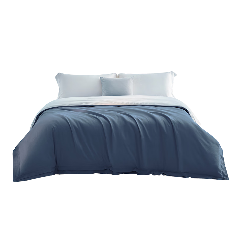 LUOLAI Home Textiles Aerospace Deep Sleep Quilt 60s Cotton A-Class Antibacterial Washable Warm Quilt Core Blue Approx. 4.2 lbs