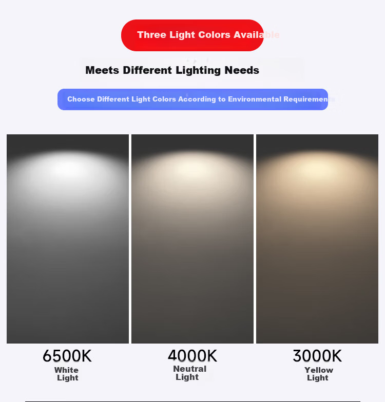 FSL Foshan Lighting LED Deep Anti-Glare Recessed Downlight Non-Main Light Home Living Room Ceiling Hole Light 6W Warm White Opening Size φ75mm 5