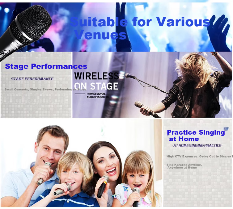 SANSUI S02 Wired Handheld Dynamic Microphone High-Quality KTV Home Singing Speech Stage Performance Classic Black 5
